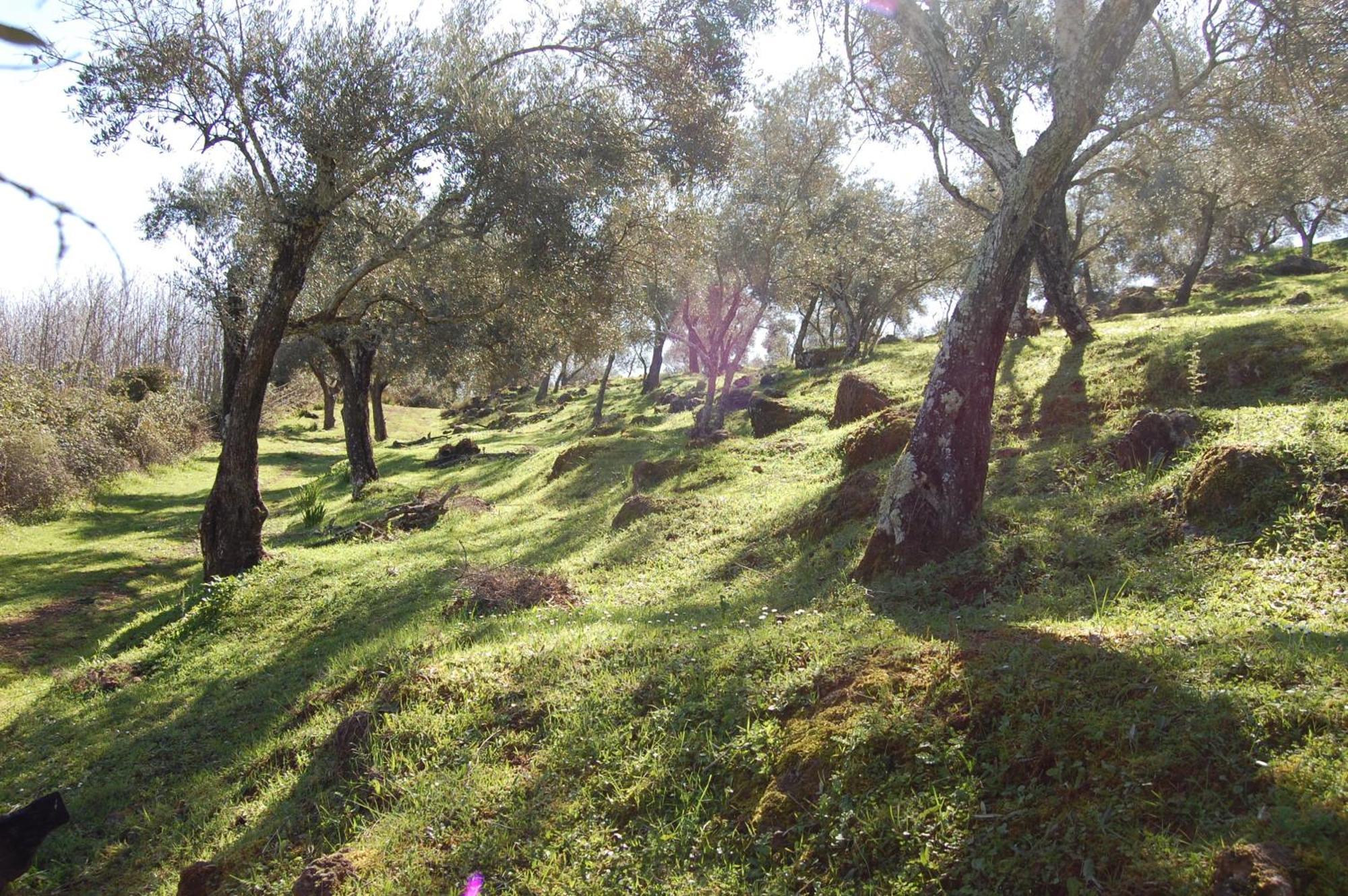 Los Pozos De La Nieve 콘스탄티나 외부 사진